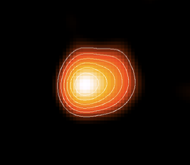 Resolved image of the radio photosphere of the nearby AGB star R Leo